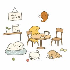 애견카페