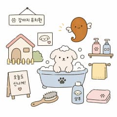 펫 케어
