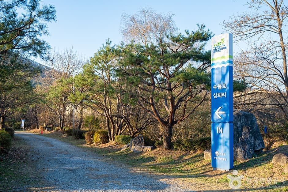 수풀로 삼회리